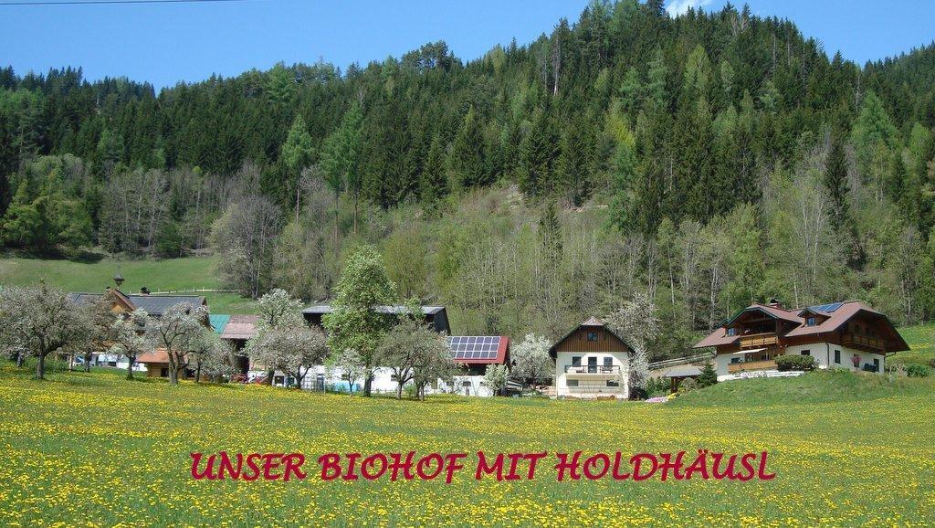 Holdhaeusl Schladming Quarto foto
